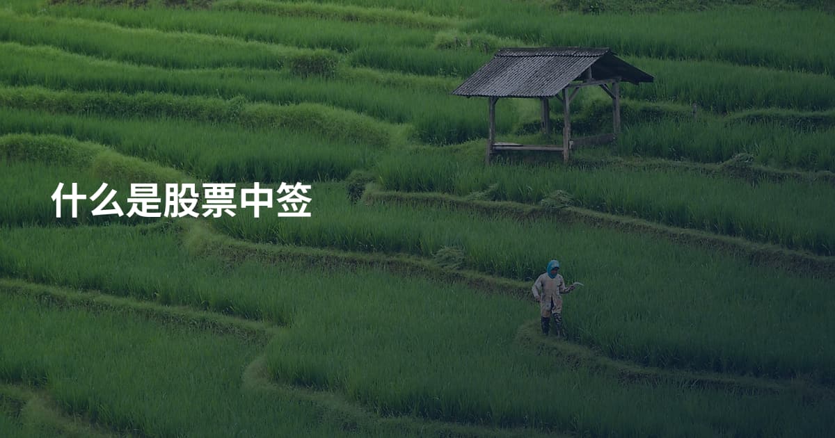 什么是股票中签