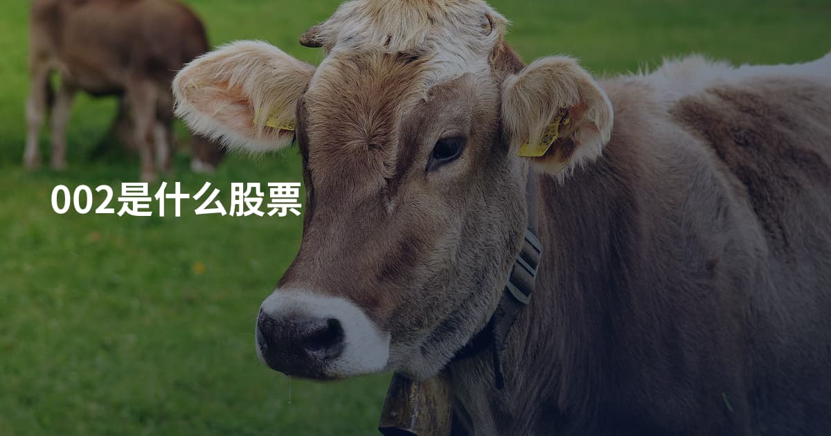002是什么股票