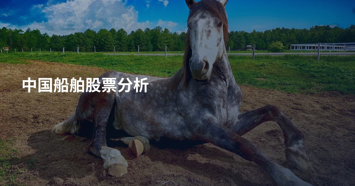 中国船舶股票分析