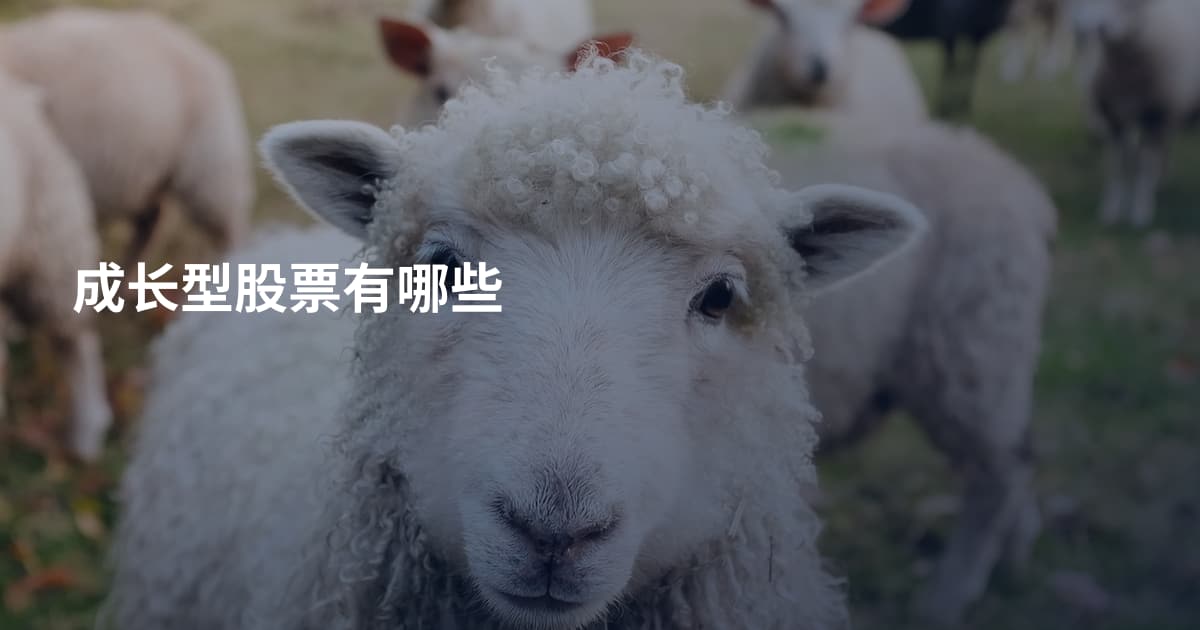 成长型股票有哪些