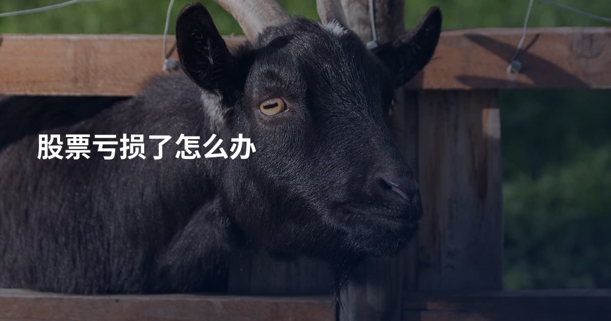 股票亏损了怎么办