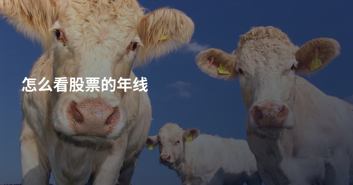 怎么看股票的年线