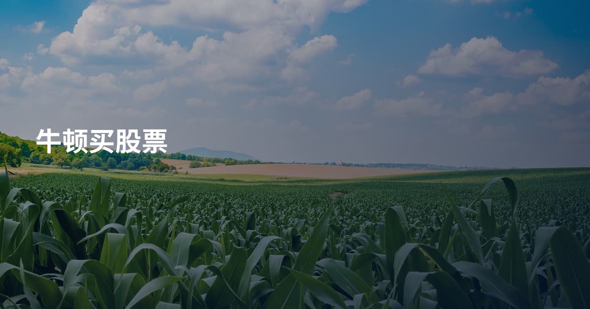 牛顿买股票