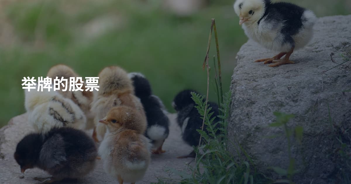 举牌的股票