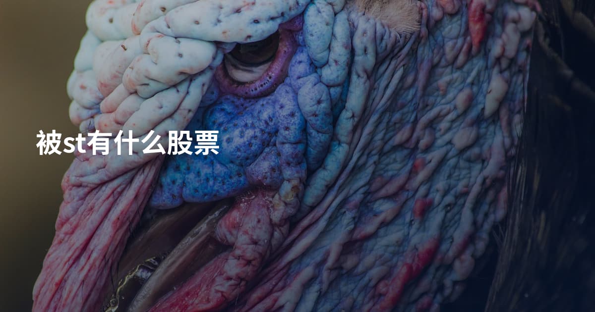 被st有什么股票