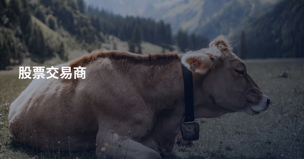 股票交易商