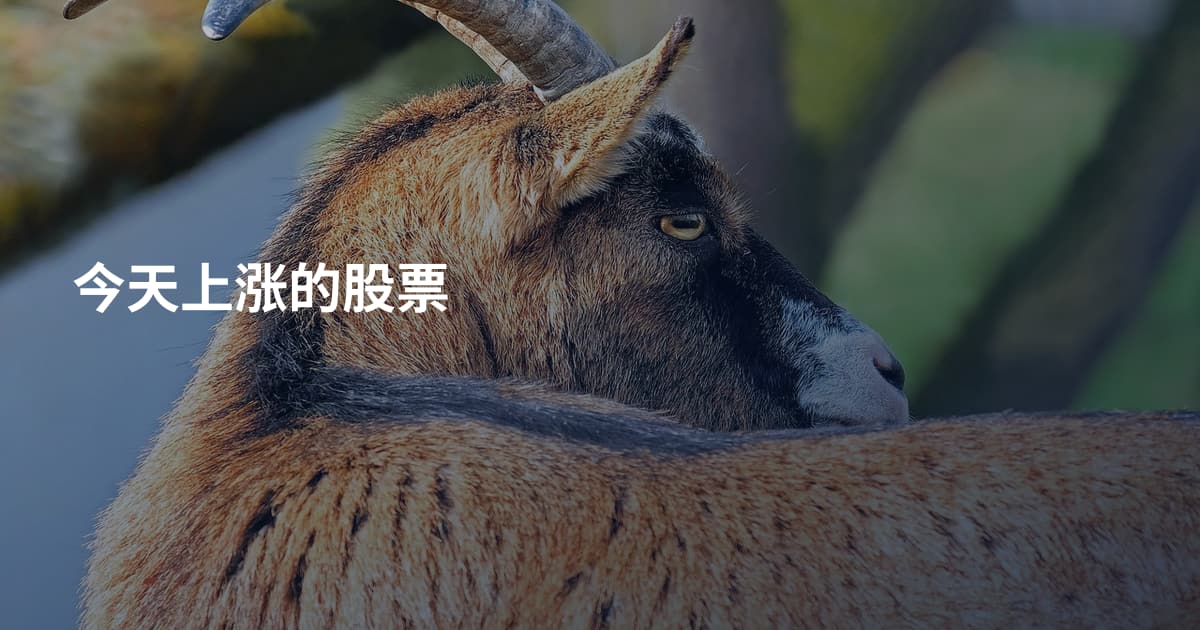 今天上涨的股票