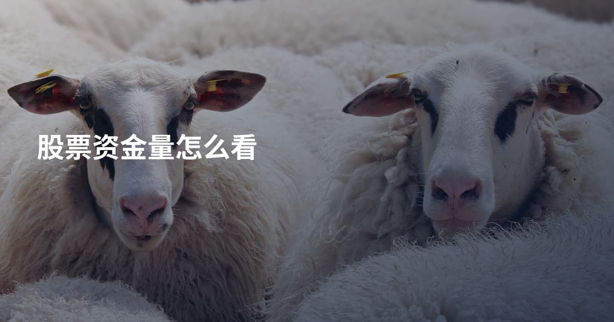 股票资金量怎么看