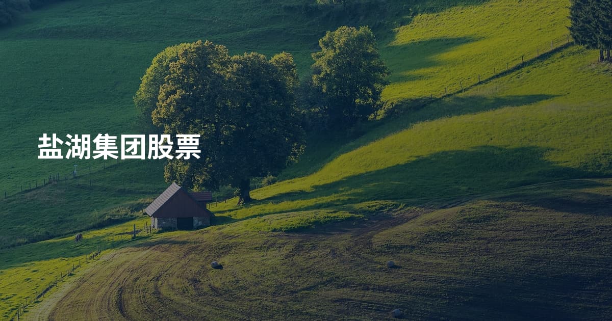 盐湖集团股票