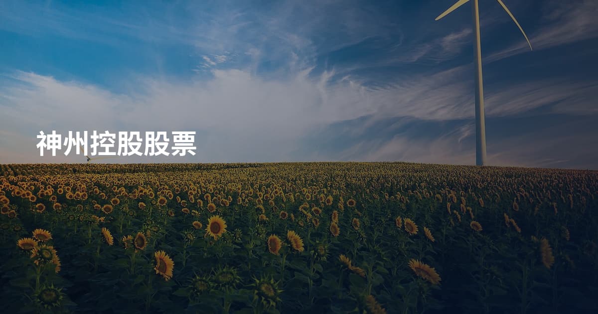神州控股股票