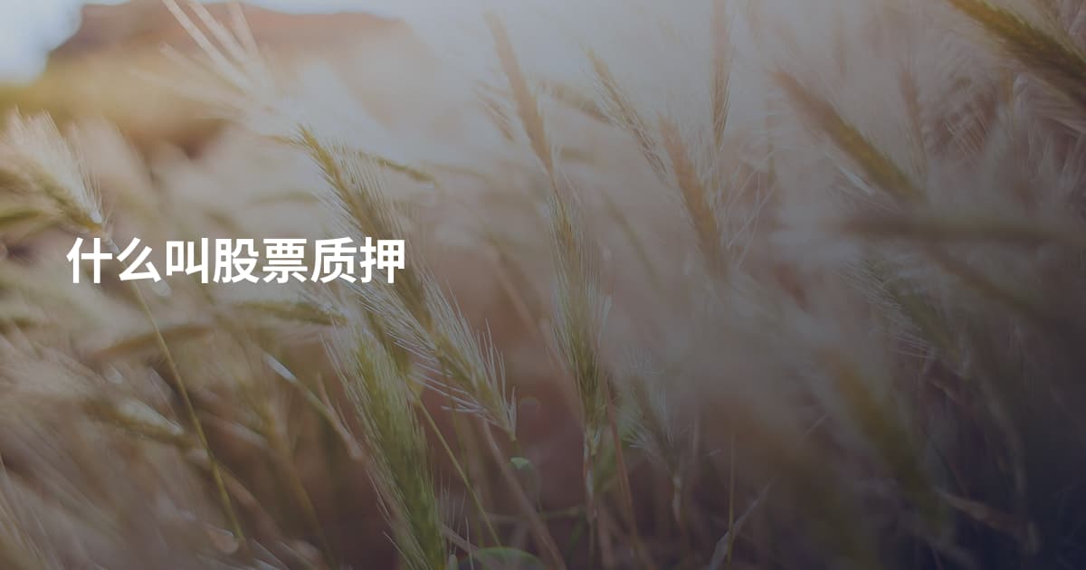 什么叫股票质押