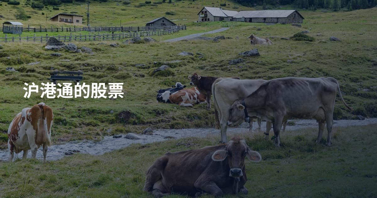 沪港通的股票
