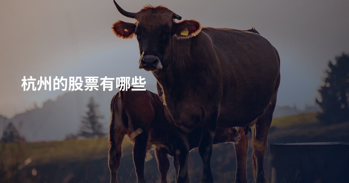 杭州的股票有哪些