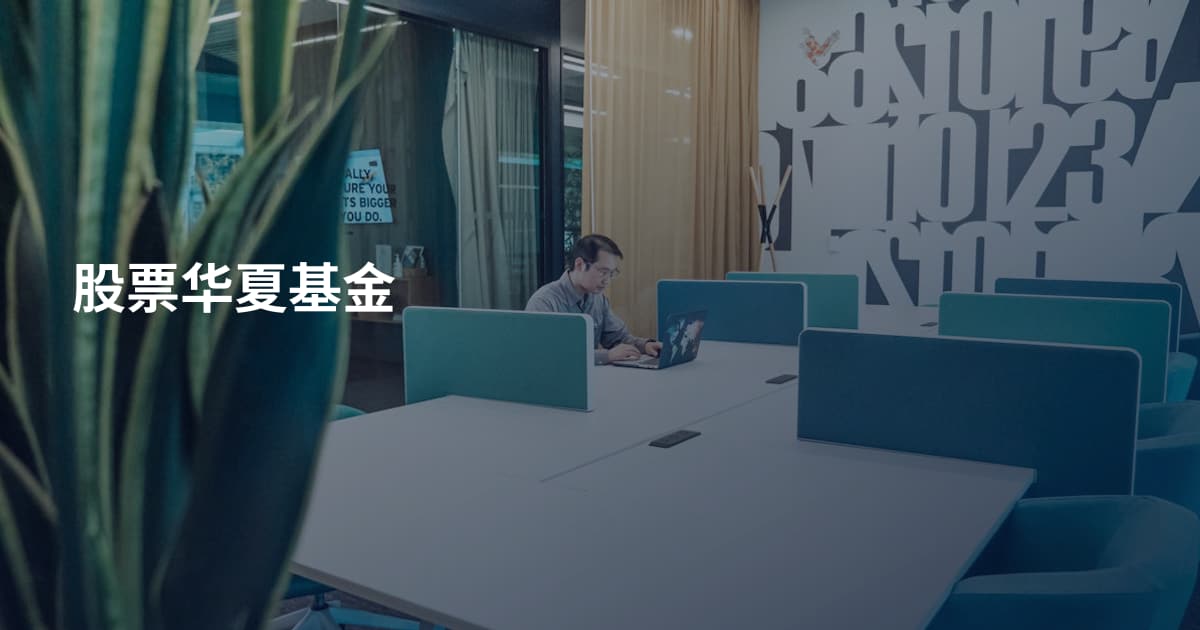 股票华夏基金