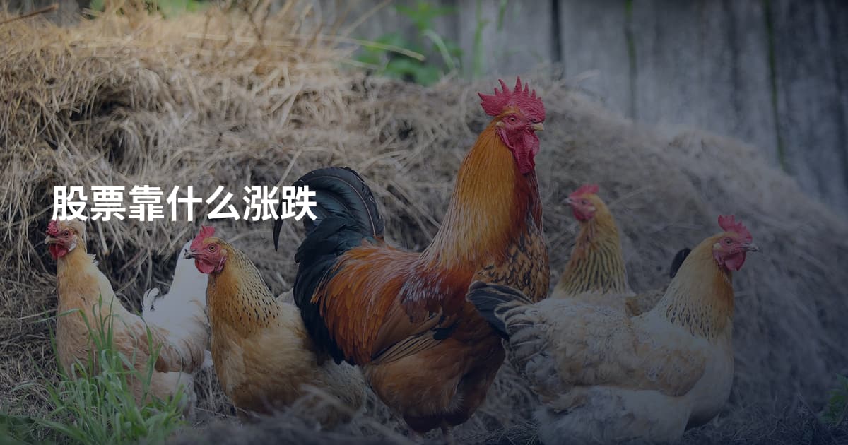 股票靠什么涨跌
