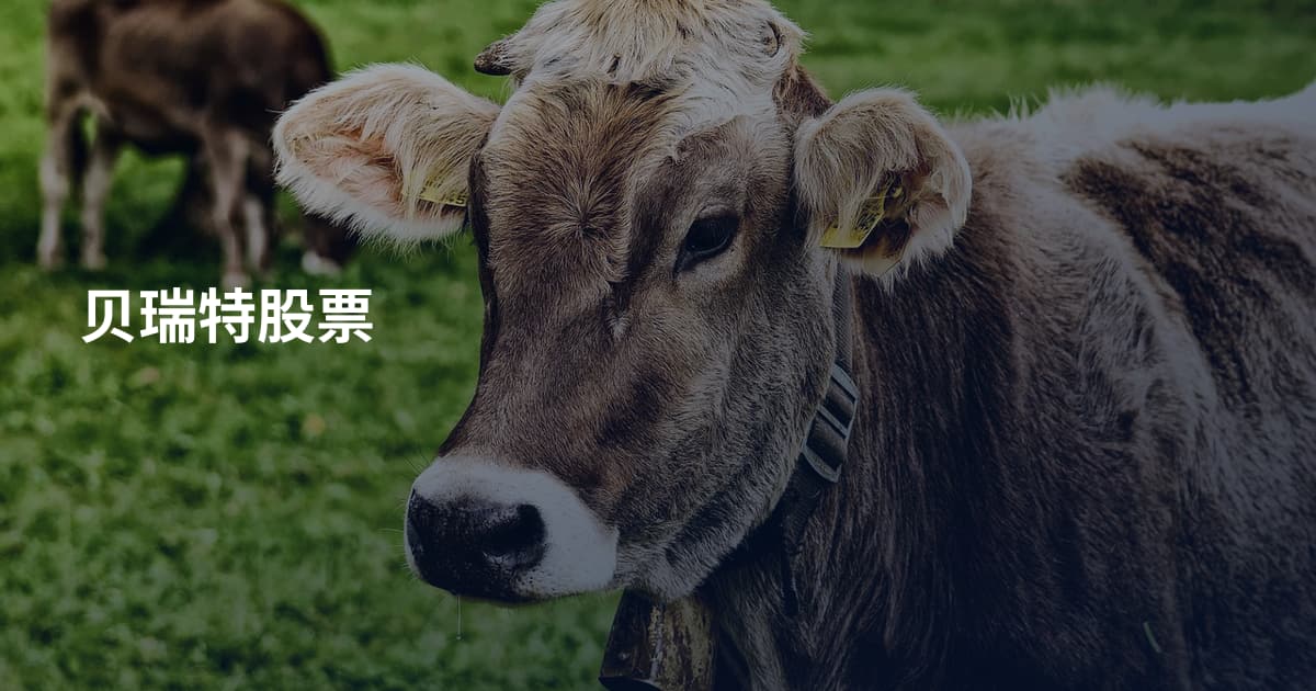 贝瑞特股票