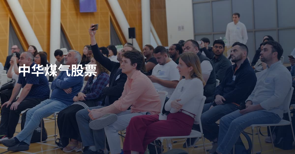 中华煤气股票