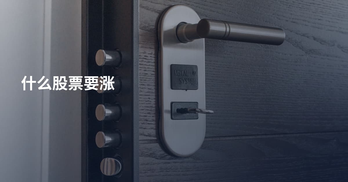 什么股票要涨