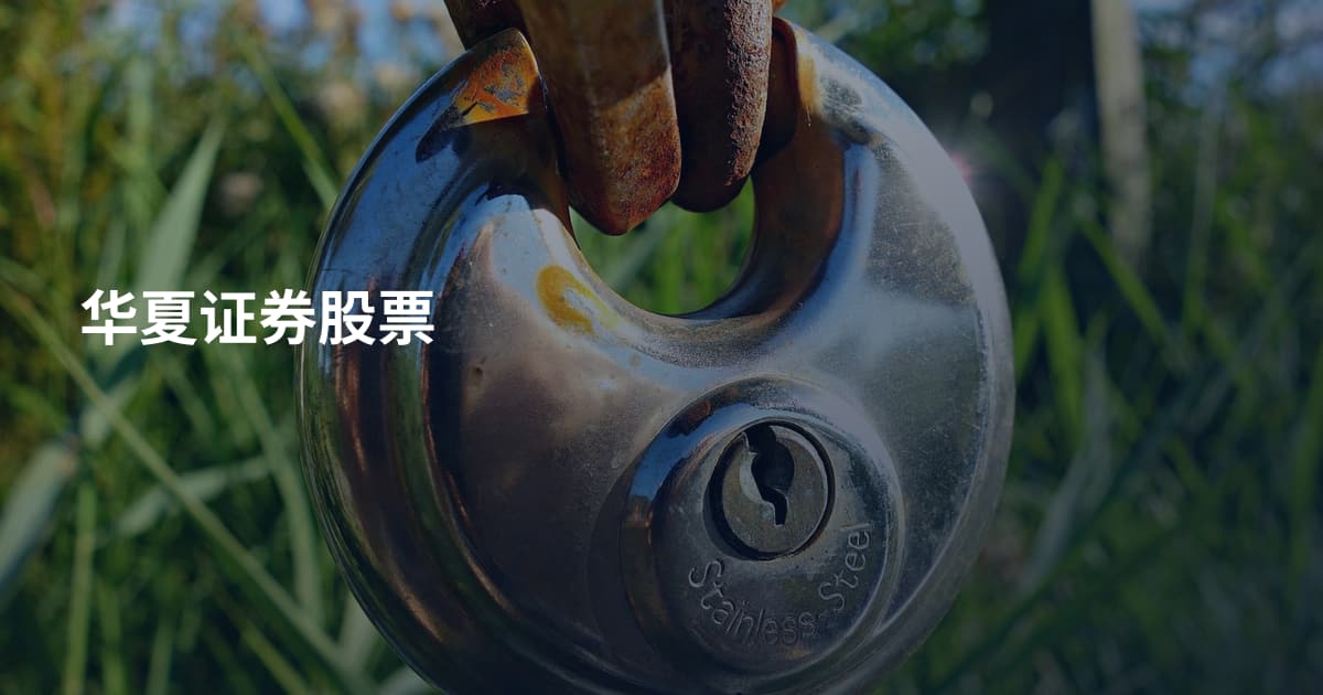 华夏证券股票