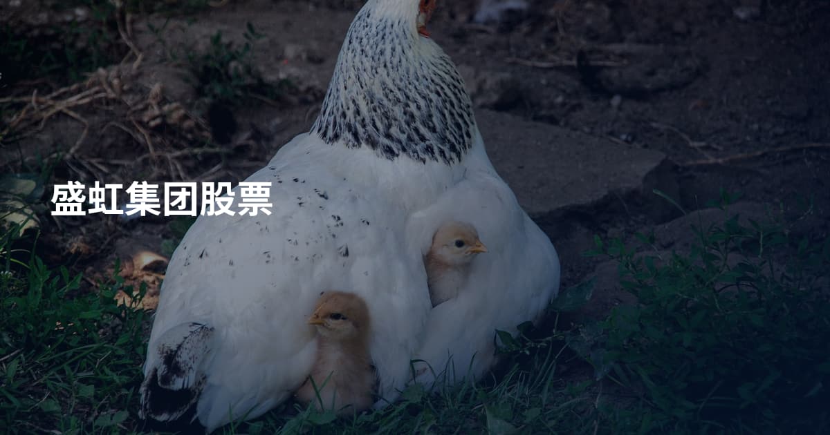 盛虹集团股票