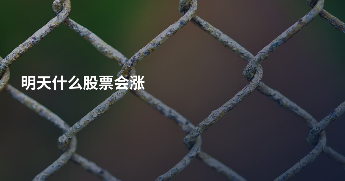 明天什么股票会涨