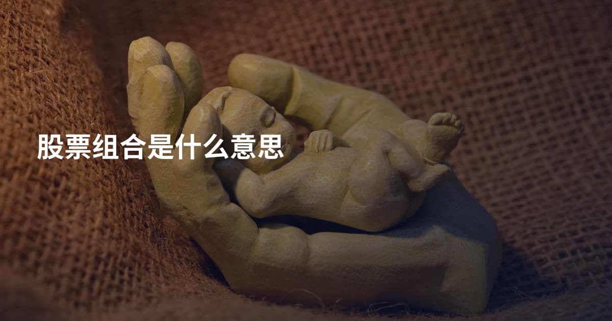 股票组合是什么意思