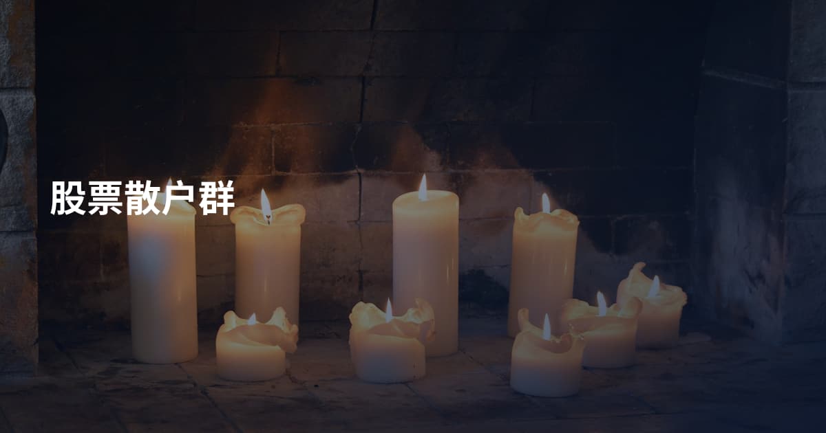 股票散户群