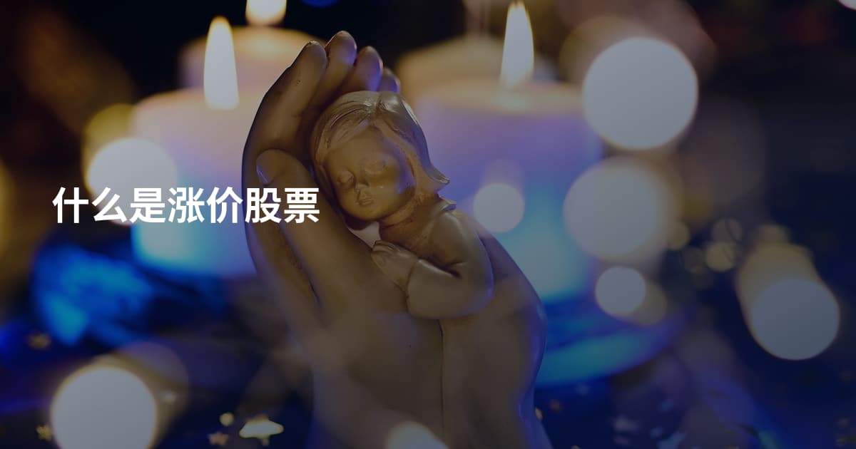 什么是涨价股票