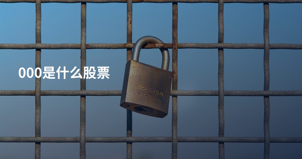 000是什么股票