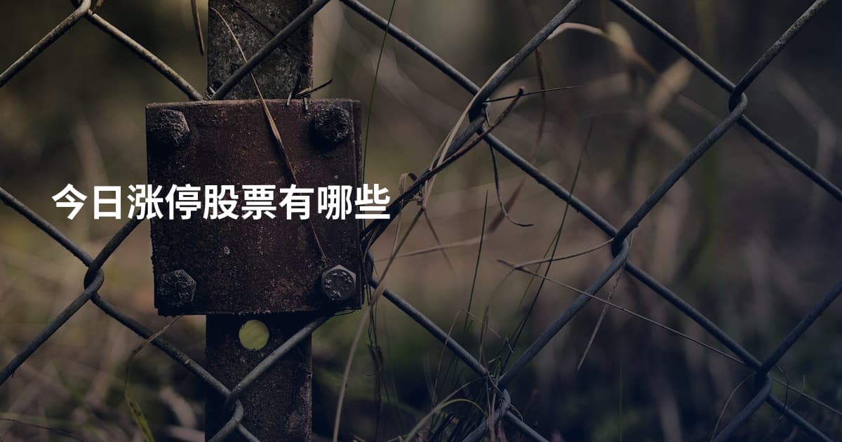 今日涨停股票有哪些