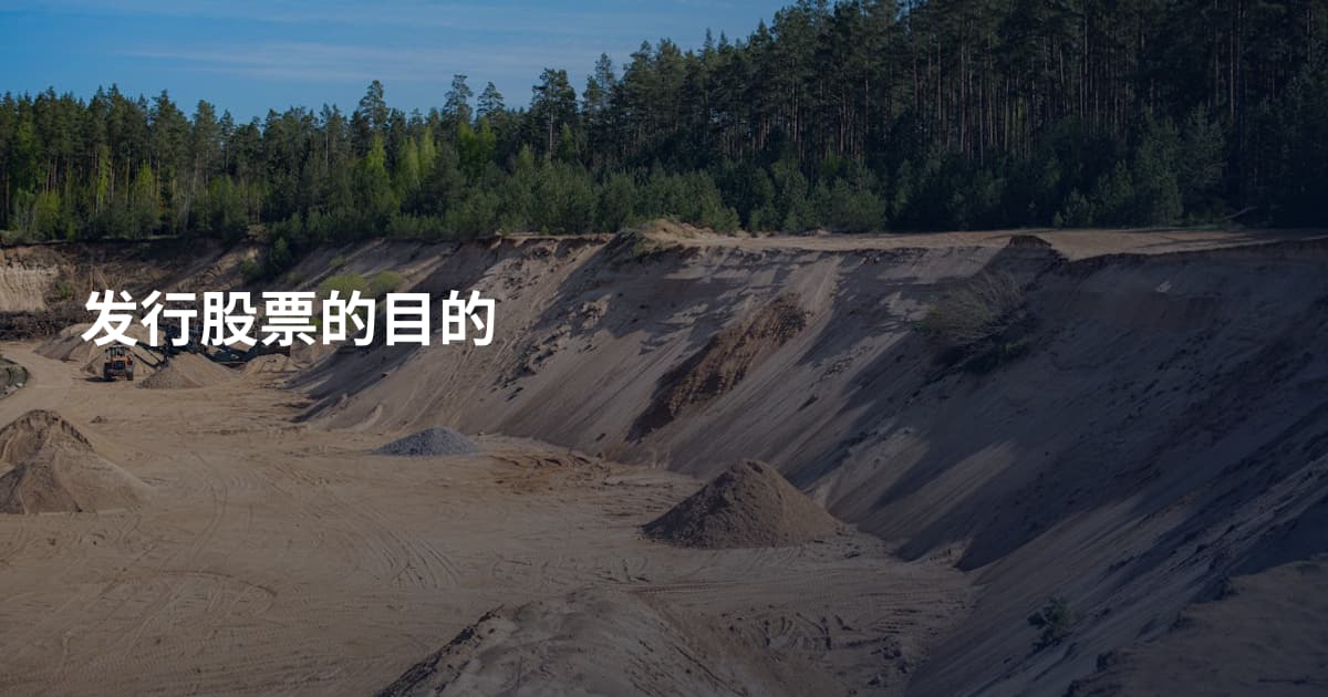 发行股票的目的