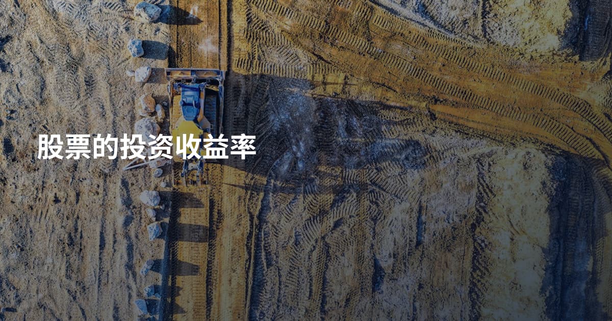 股票的投资收益率