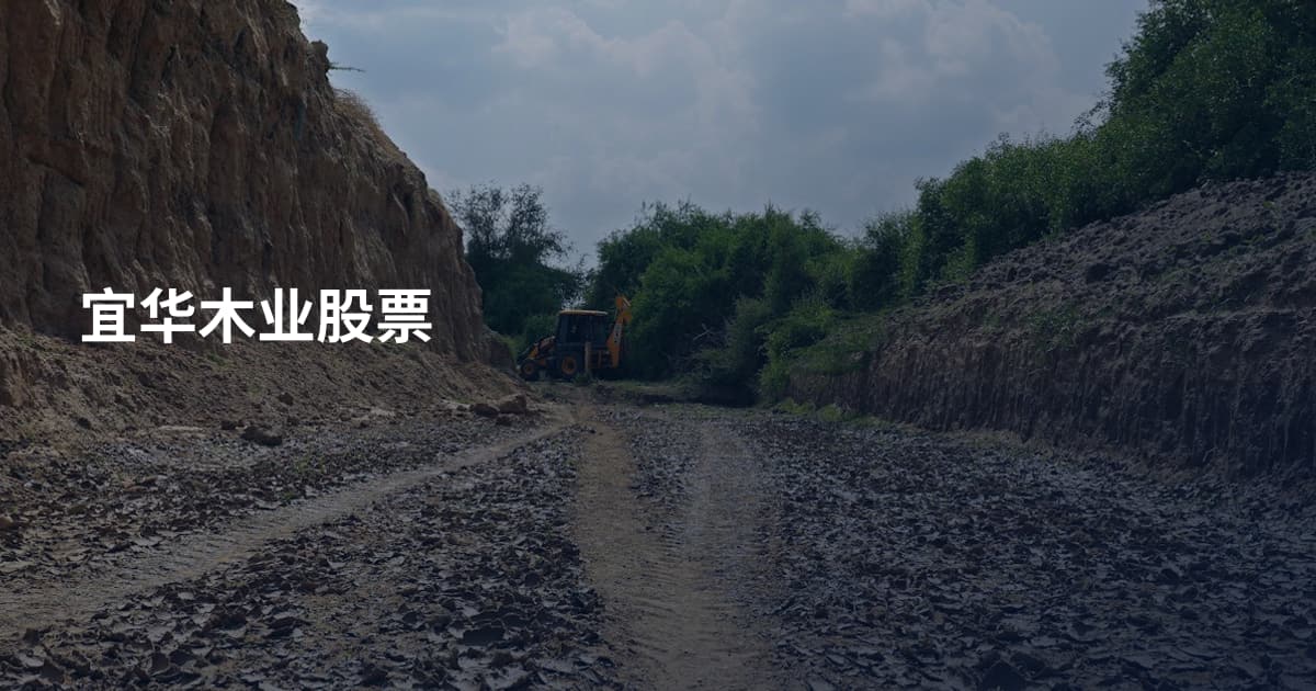 宜华木业股票