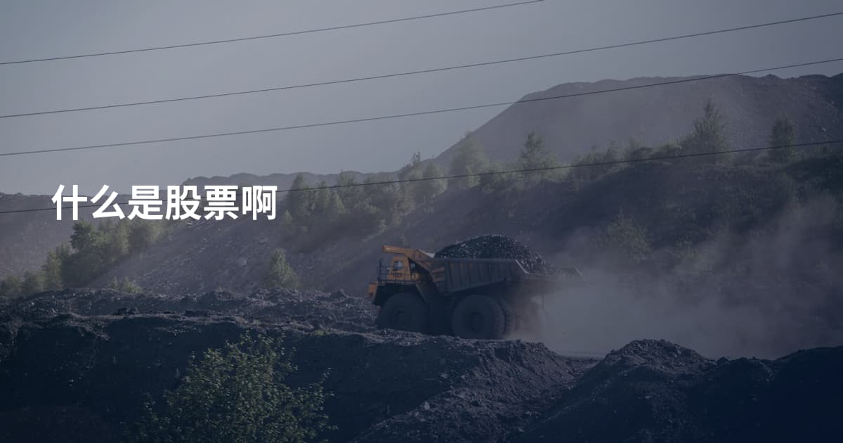 什么是股票啊