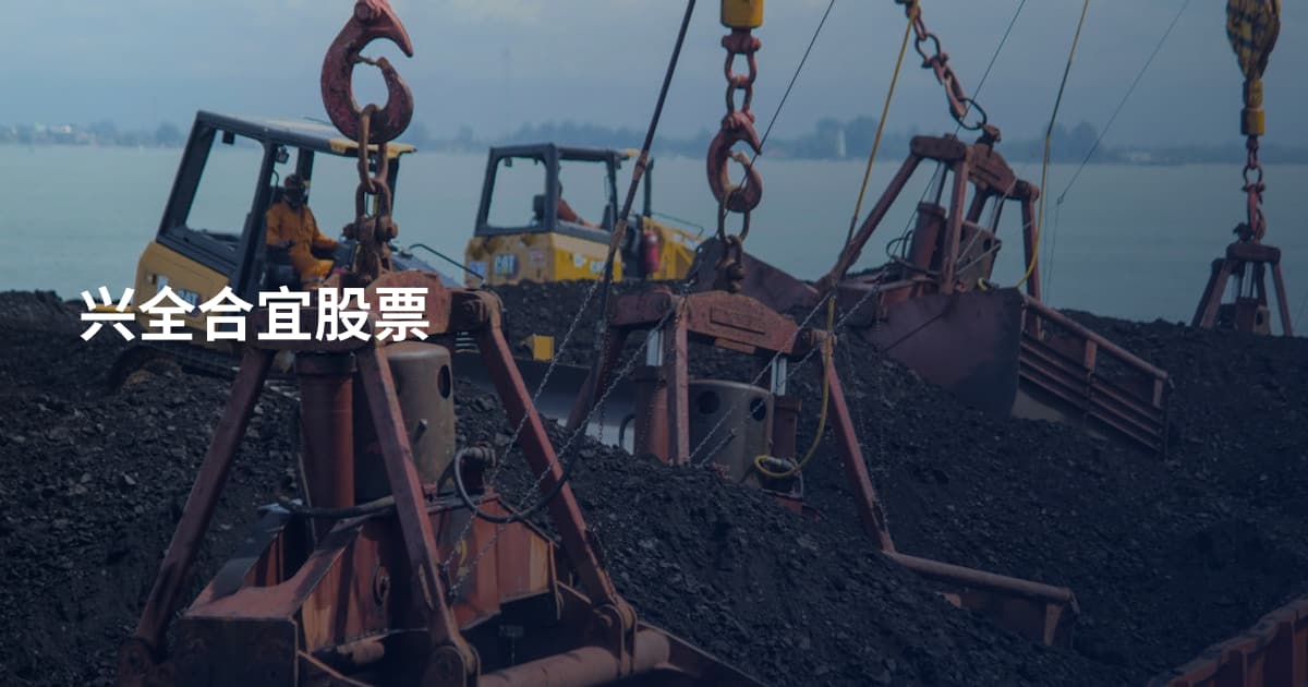 兴全合宜股票