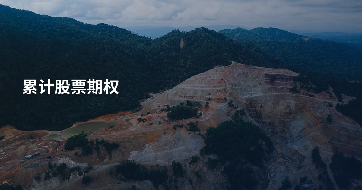 累计股票期权