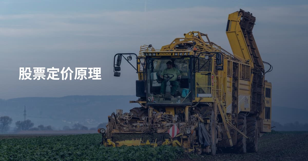 股票定价原理