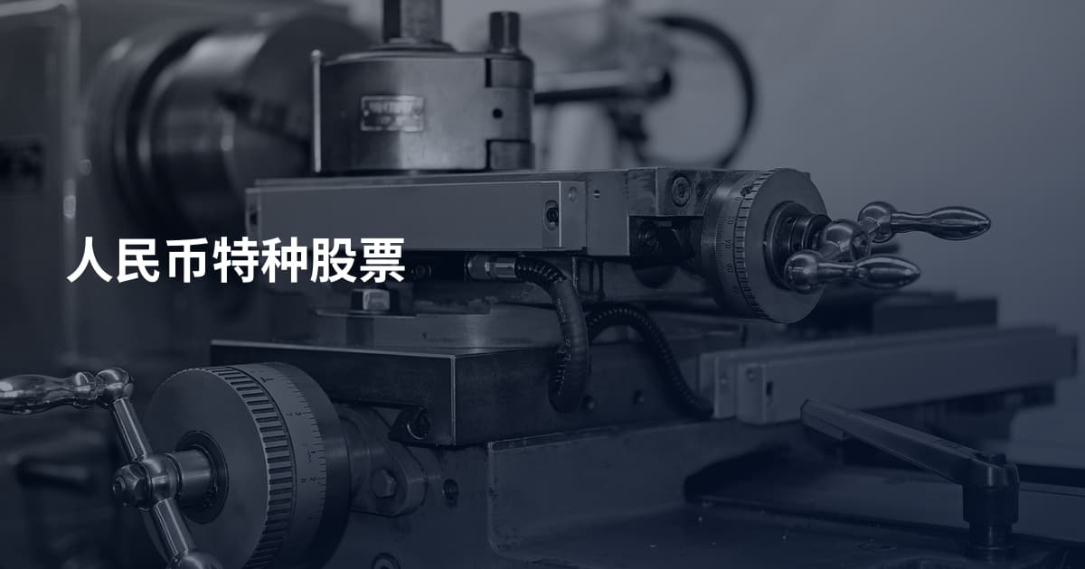 人民币特种股票