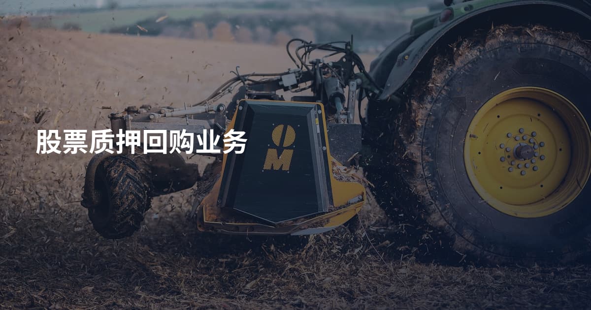 股票质押回购业务