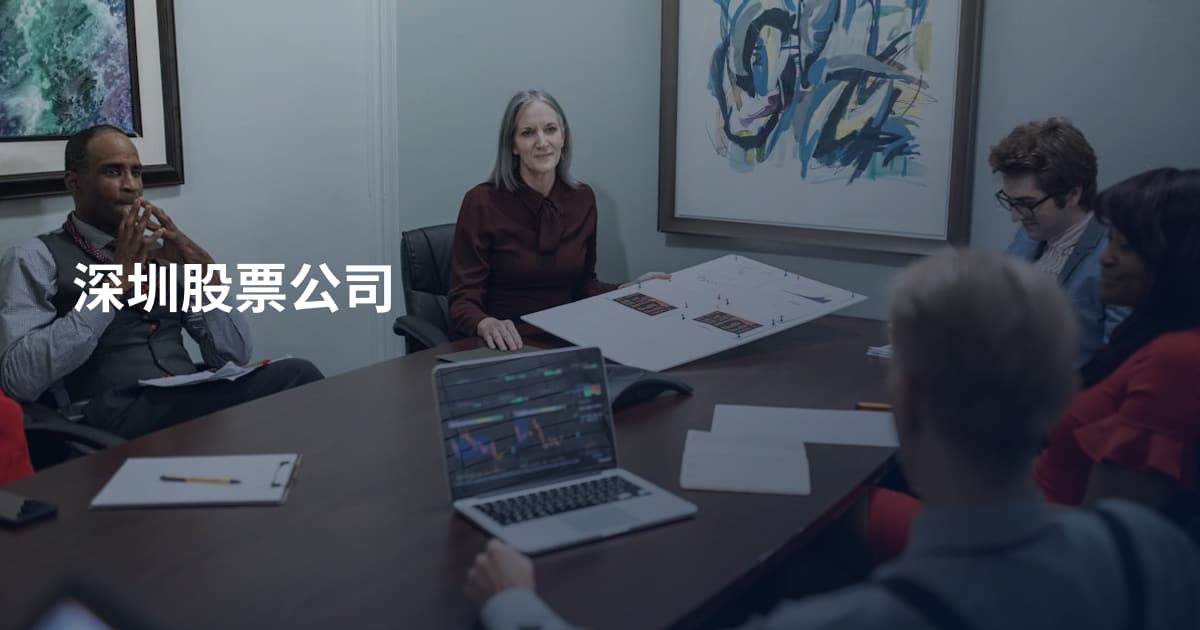 深圳股票公司