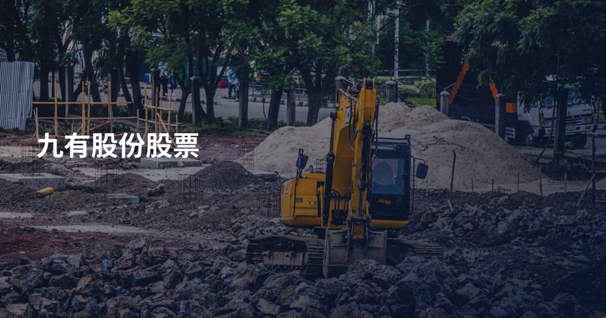 九有股份股票