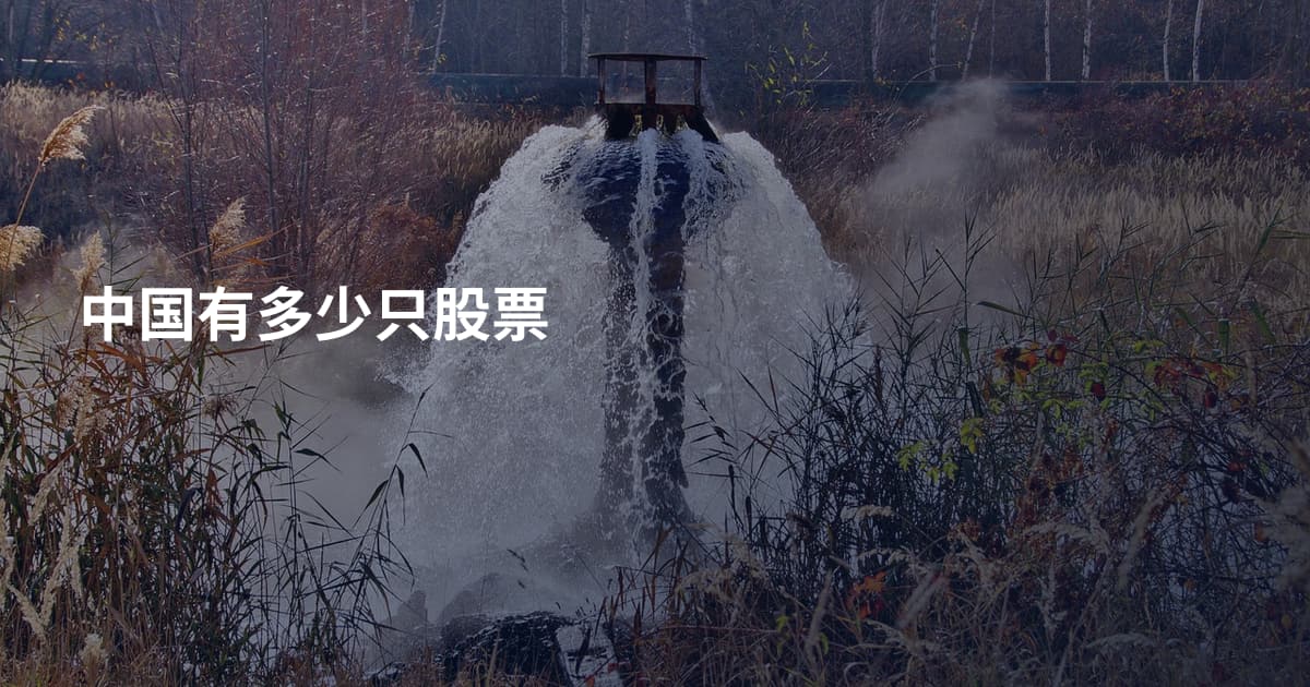 中国有多少只股票