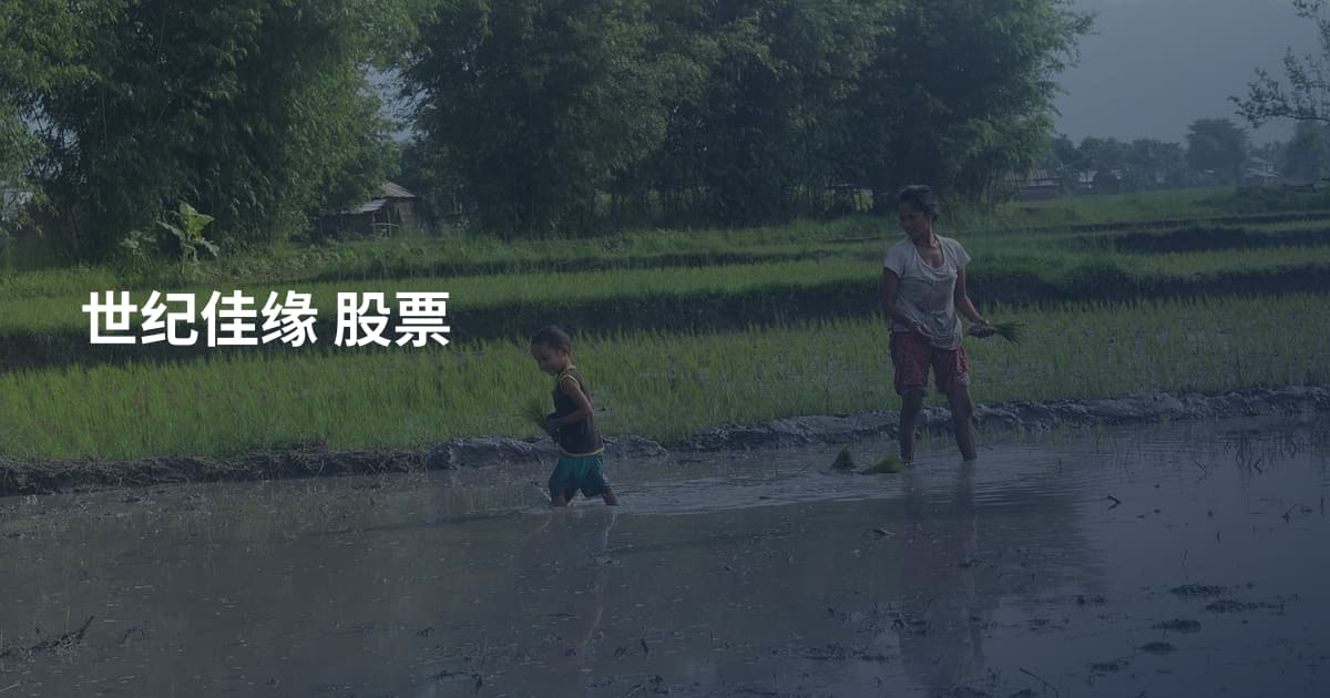 世纪佳缘 股票