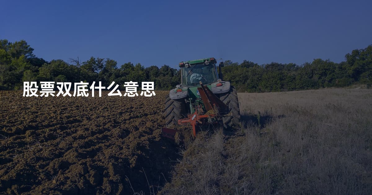 股票双底什么意思