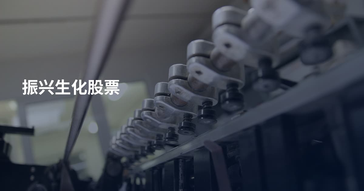 振兴生化股票