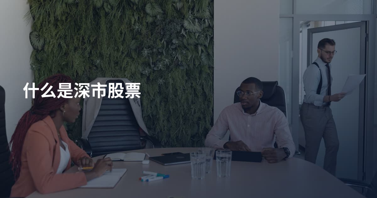 什么是深市股票