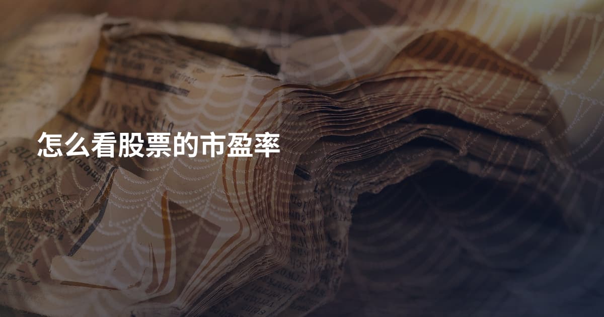 怎么看股票的市盈率