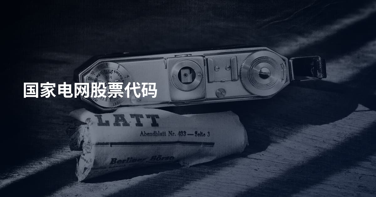国家电网股票代码