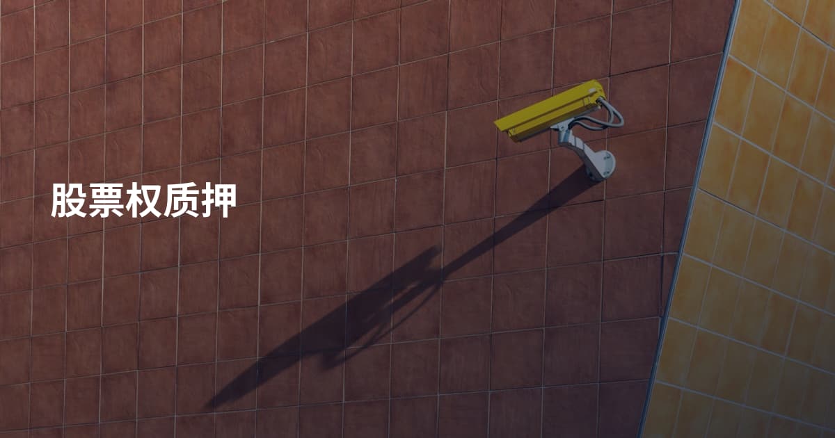 股票权质押