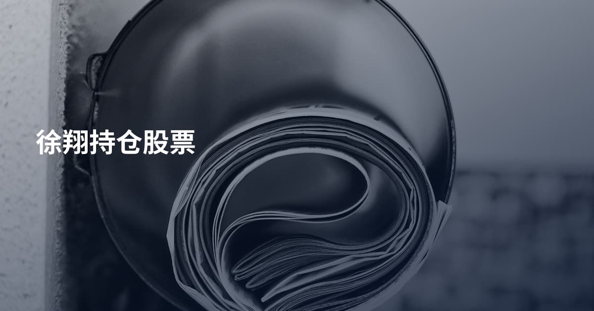 徐翔持仓股票